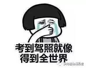 pg游戏娱乐-友情推荐：28圈app官网下载
